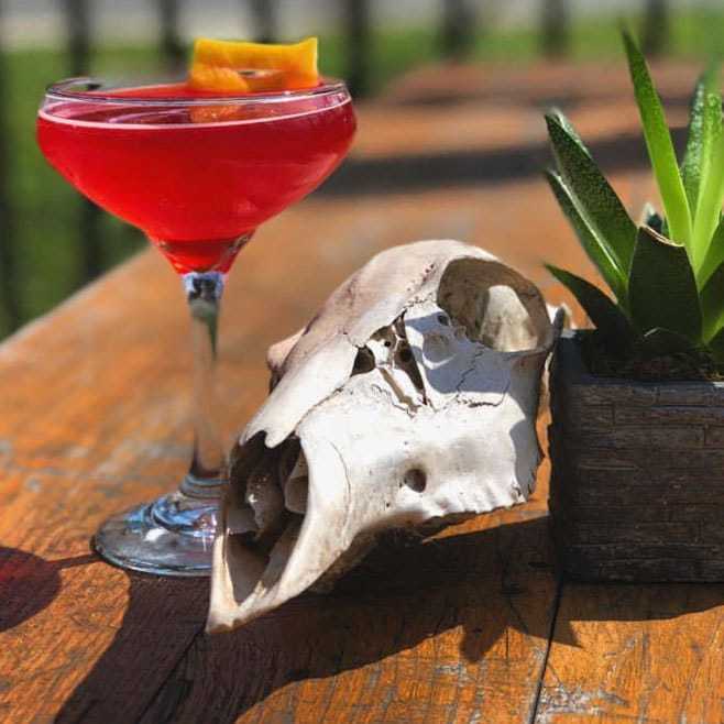 Cocktail posed with animal skull